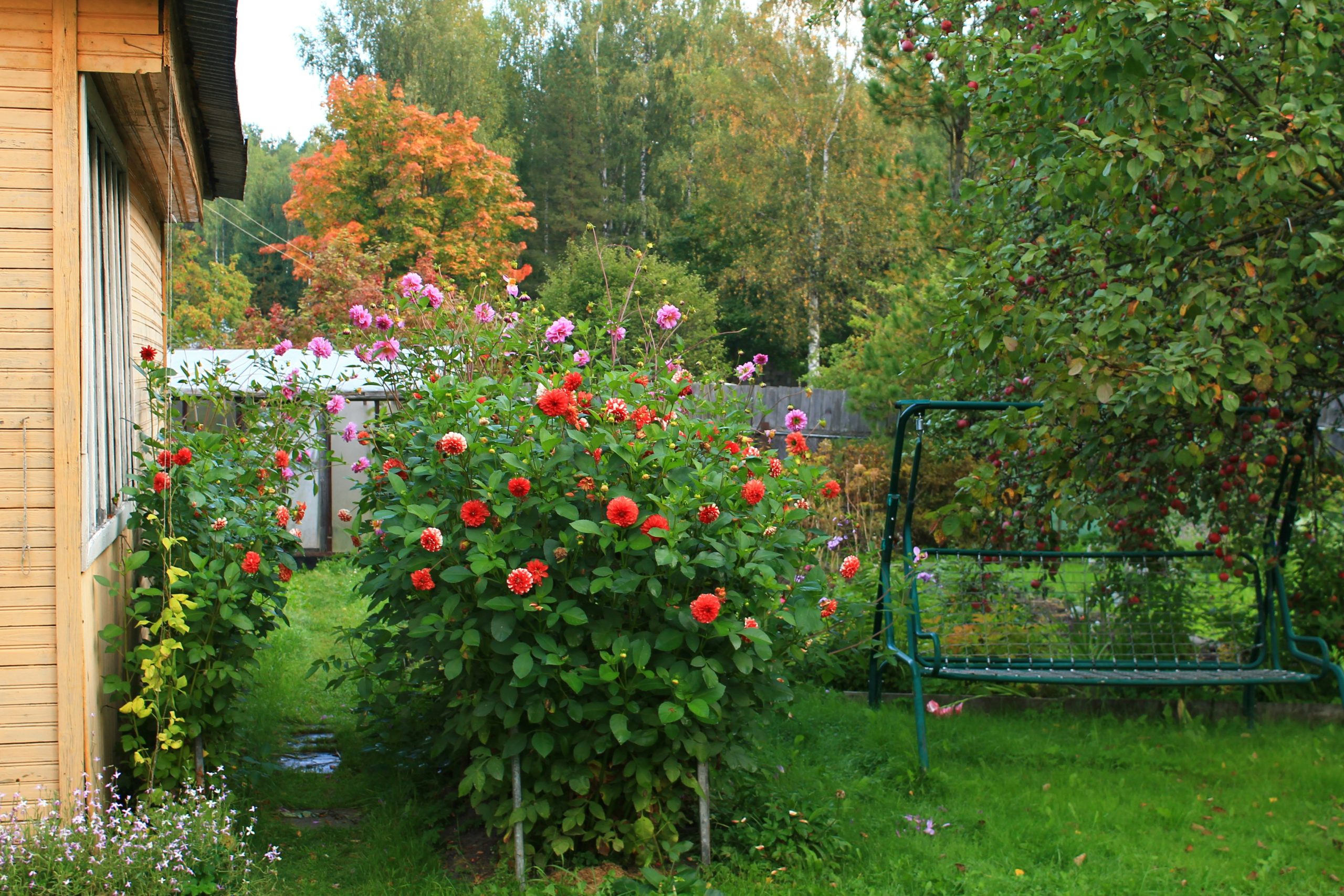Klaasist aiamaja