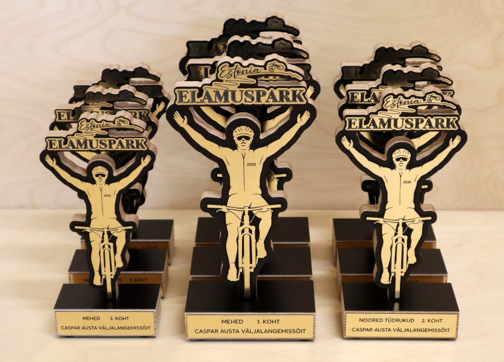 Karikate valmistamine