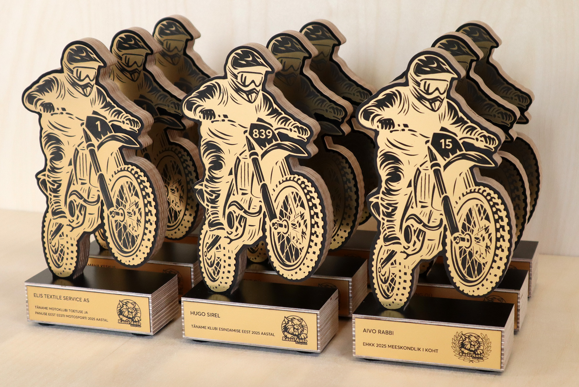 auhindade tellimine - karikad ja medalid