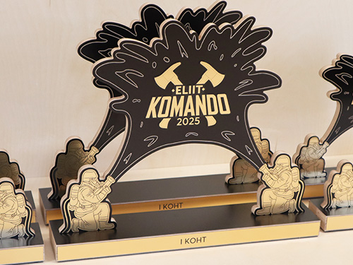 puidust karikad ja medalid